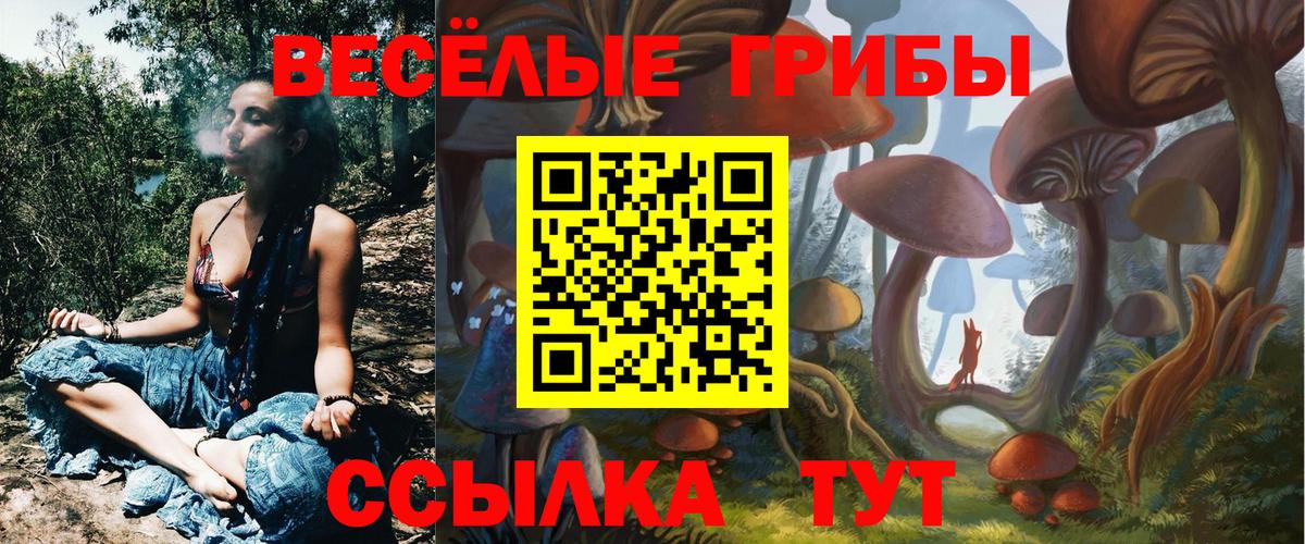 Галлюциногенные грибы мицелий Сертолово