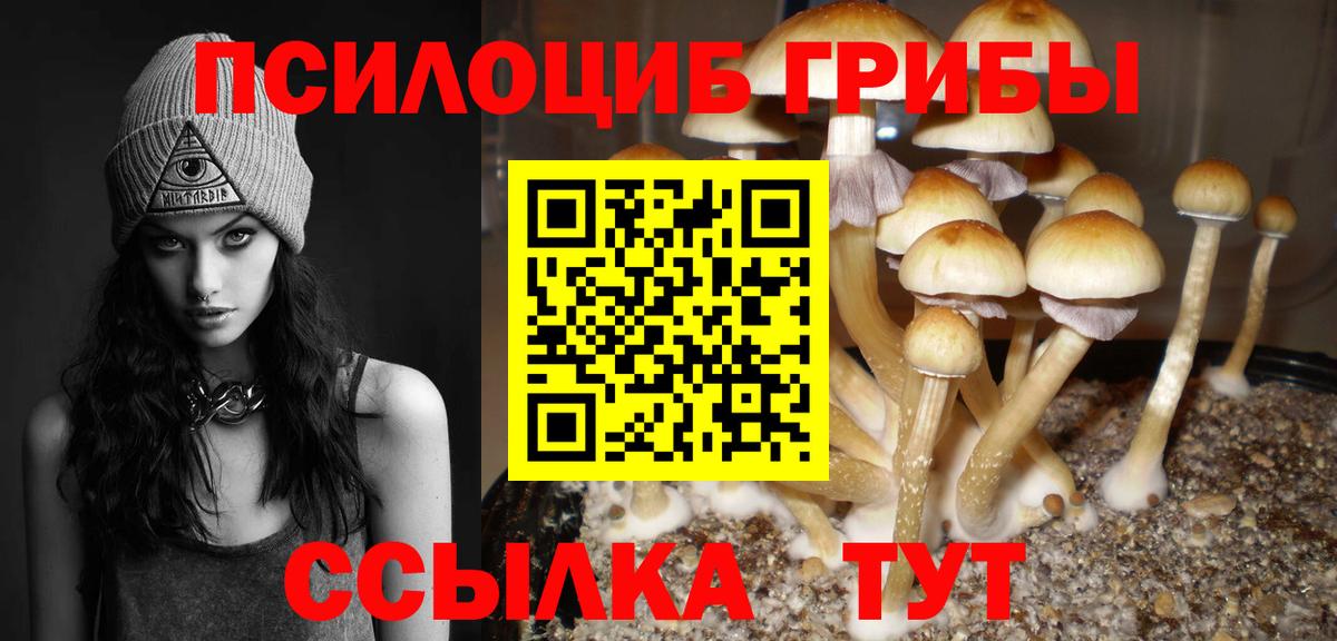 Сертолово  Псилоцибиновые грибы мицелий  Вход с VPN  где купить наркоту  Галлюциногенные грибы прущие грибы 