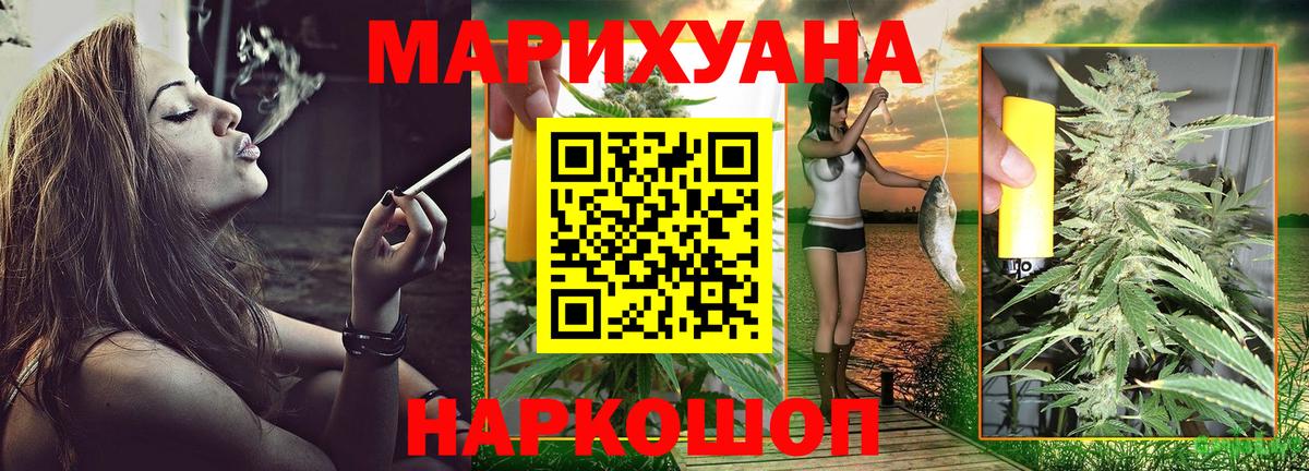 Бошки Шишки планчик Сертолово